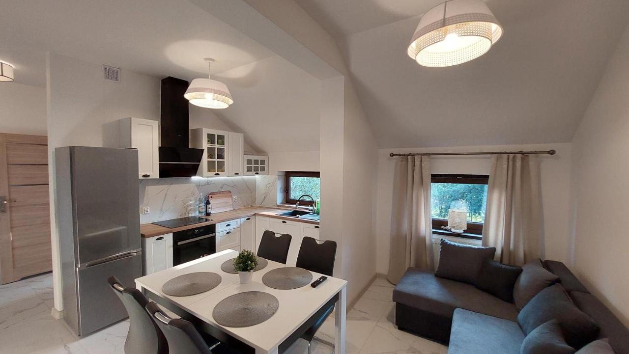 Apartamenty Starowiejska 39, Ryczow - 10Km Od Zator Energylandia 外观 照片