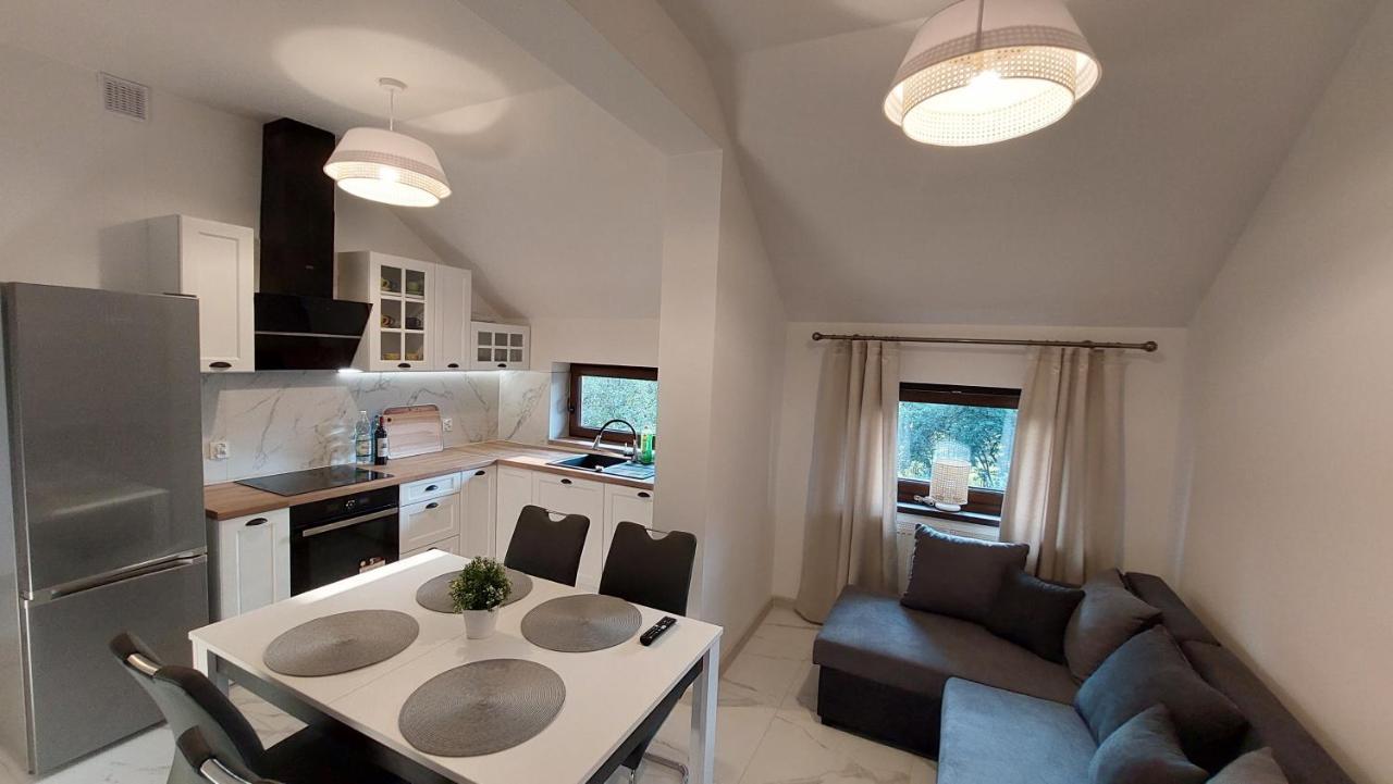 Apartamenty Starowiejska 39, Ryczow - 10Km Od Zator Energylandia 外观 照片